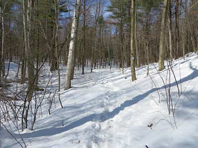 snowy trail