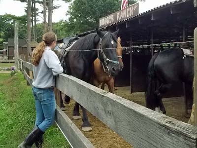 Horses at Bobby's Ranch