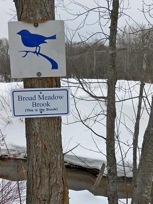Broad Meadow Brook sign