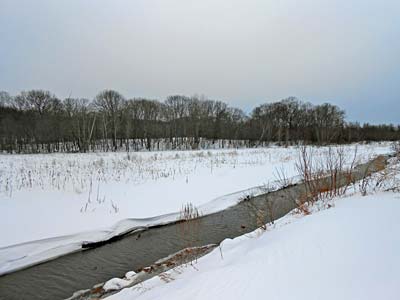 Broad Meadow Brook