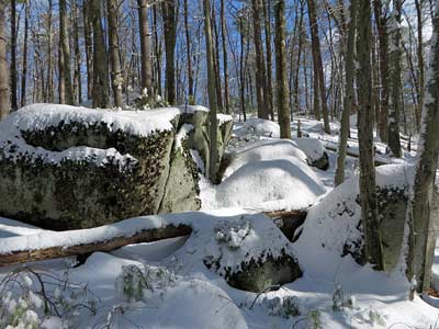 snow covered boulders