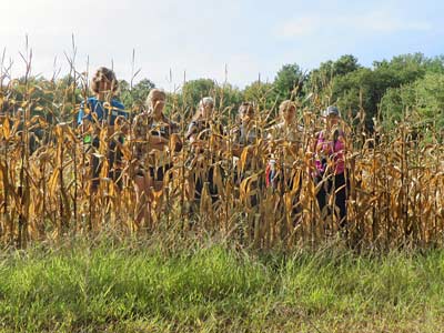 Group in cornfield