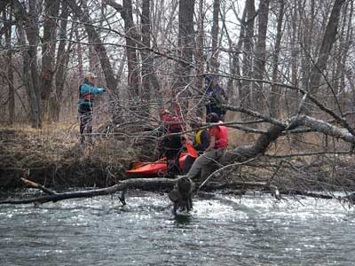 Fallen tree in river