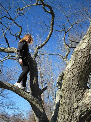 Sam in a tree