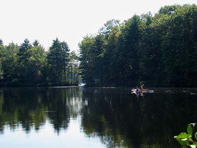Kayaks on the lake