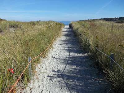 Path to Wingaersheek Beach