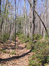 Appleton Loop Trail