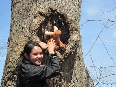 Mugsy & Therese exploring tree hole