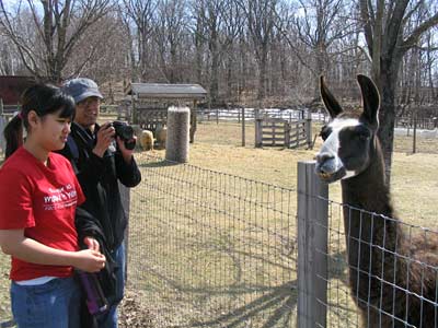 Jessie, Christian, and the llama