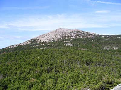 Summit view from Bald Rock