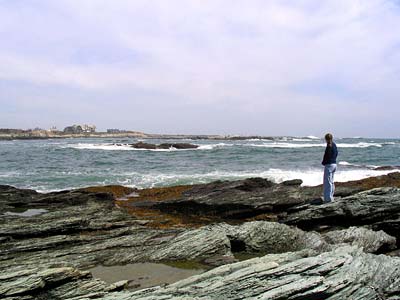 Rocks and the sea
