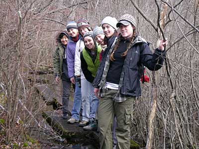Group crossing the bog
