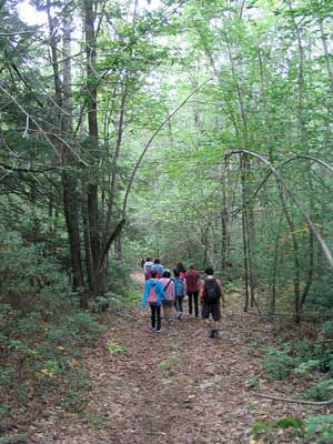 Group on Sibley Trail