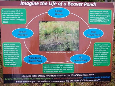 Beaver pond interpretive sign