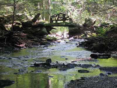 Stream and rock structure