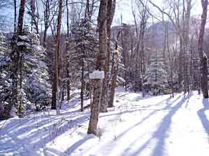 ski trail
